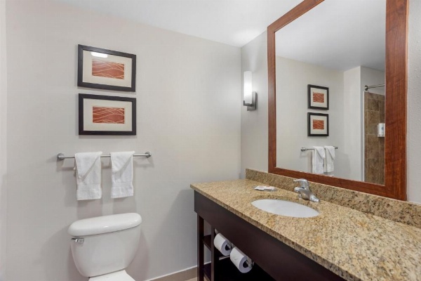Comfort Inn & Suites Sayre image 16